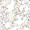 //jororwxhrkinln5q-static.micyjz.com/cloud/llBpjKnjlkSRqippkjlniq/02711d55a73961fcf79f2f01555f73ab-60-60.jpg