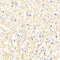 //jororwxhrkinln5q-static.micyjz.com/cloud/llBpjKnjlkSRqippkjrmiq/a6bec994612a1cba0c90a9ef7d23876f-60-60.jpg
