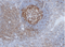 //jororwxhrkinln5q-static.micyjz.com/cloud/llBpjKnjlkSRqippnkniiq/7564d65ded144f8d9610dda7c1b608be-60-60.png