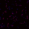 //jororwxhrkinln5q-static.micyjz.com/cloud/llBpjKnjlkSRqipppiliiq/c93ac4c229420ed7850da70b998427a6-60-60.jpg