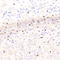 //jororwxhrkinln5q-static.micyjz.com/cloud/lmBpjKnjlkSRqippojnoiq/0e0e8ba9da9f0a6b1288da80f728204c-60-60.jpg