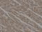 //jororwxhrkinln5q-static.micyjz.com/cloud/lnBpjKnjlkSRpiilpmmmip/GB14002-60-60.png