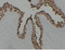 //jororwxhrkinln5q-static.micyjz.com/cloud/lnBpjKnjlkSRqippokjliq/2dfb6018e944b1814ffc3b2aec7d62c9-60-60.png