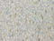 //jororwxhrkinln5q-static.micyjz.com/cloud/loBpjKnjlkSRqippijrkio/1598949096937630097-60-60.jpg