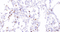 //jororwxhrkinln5q-static.micyjz.com/cloud/lpBpjKnjlkSRqippjjmniq/56e0d0111b4f579c240b569ece818ef9-60-60.jpg