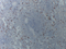 //jororwxhrkinln5q-static.micyjz.com/cloud/lqBpjKnjlkSRqippikqoiq/8a44d02b87bf2478aea9c50f9e7f42e7-60-60.png