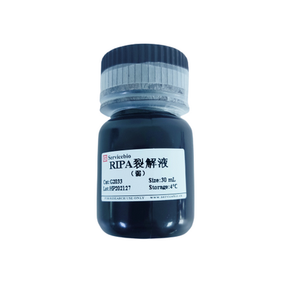 Ripa Lysis Buffer Solution Weak Biochemistry Reagent from China