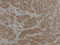 //jororwxhrkinln5q-static.micyjz.com/cloud/lrBpjKnjlkSRqippikkkiq/d6b5d9aa9d328b1bf9b0168607b7c27f-60-60.png